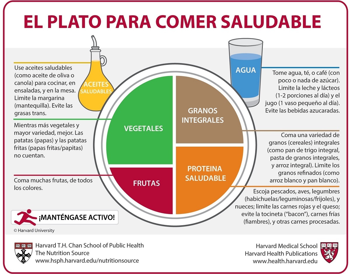 plato_comer_saludable
