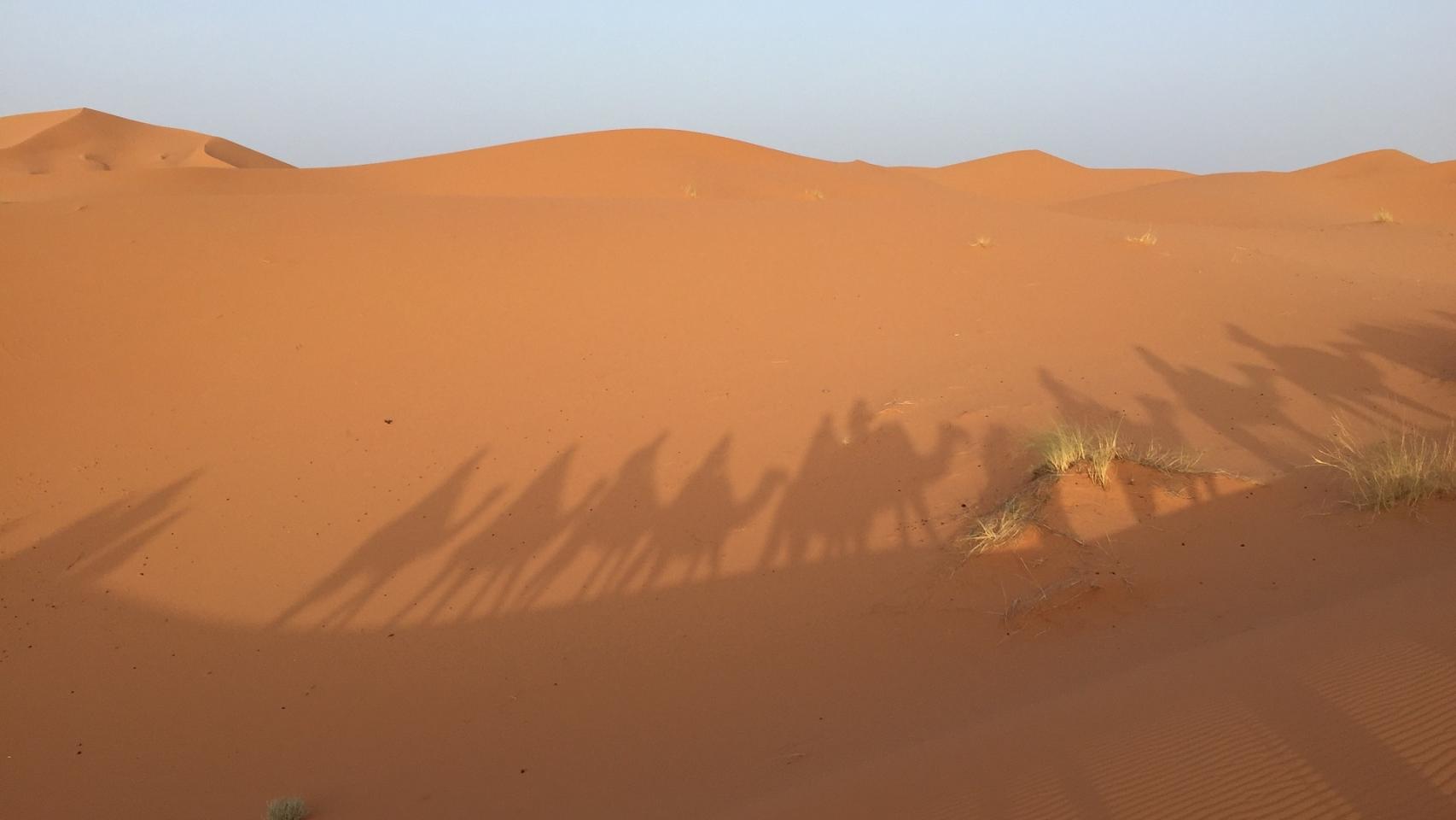 El desierto del Sahara