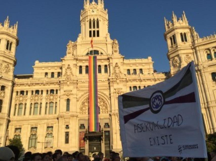 Manifestación por el día del Orgullo LGTB con la bandera asexual.