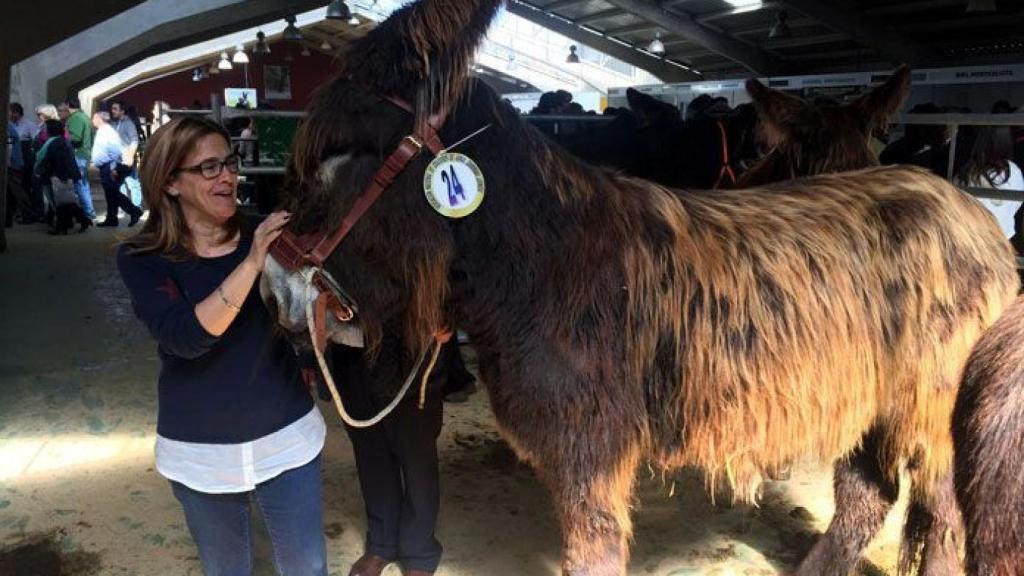 zamora san vitero (4)