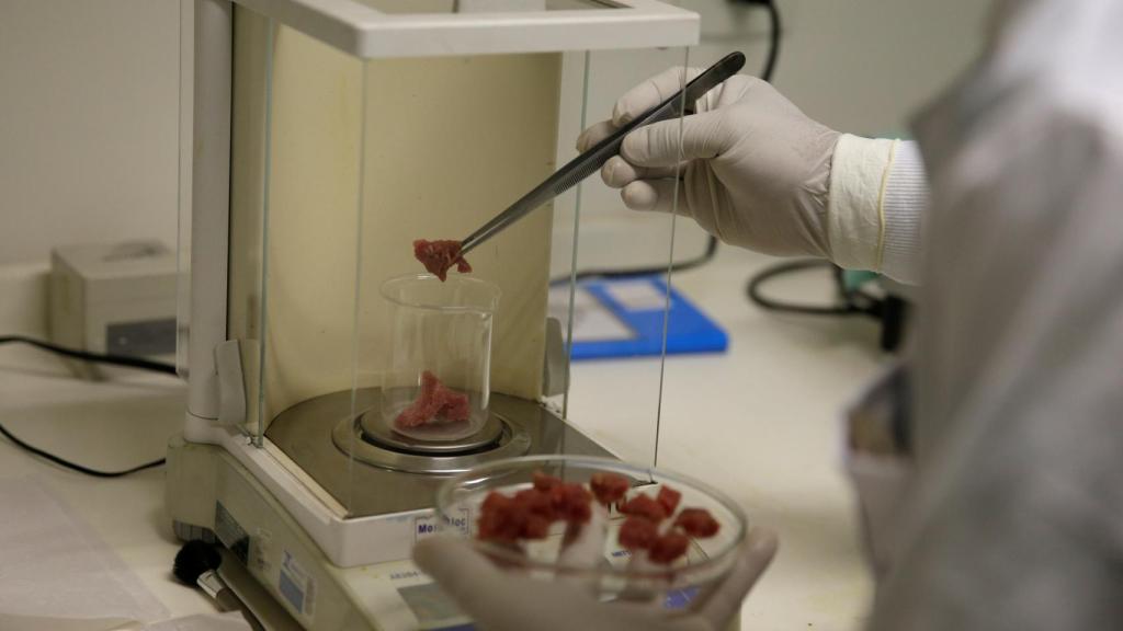 Un veterinario analiza una de las muestras de carne requisadas por los inspectores.