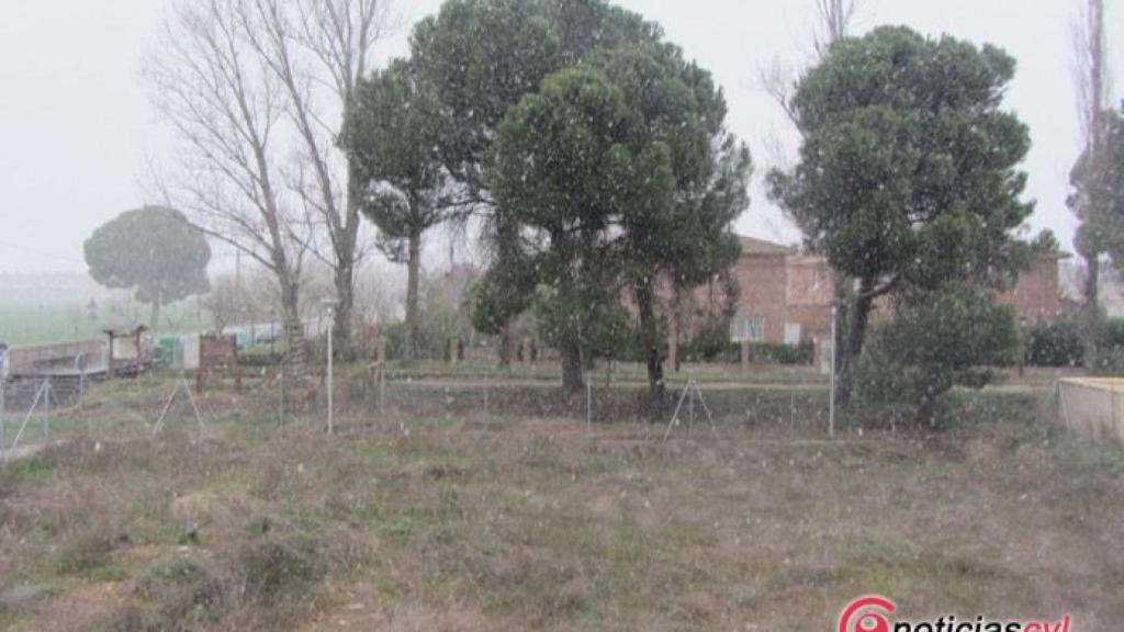 nieve nevada laguna valladolid 1