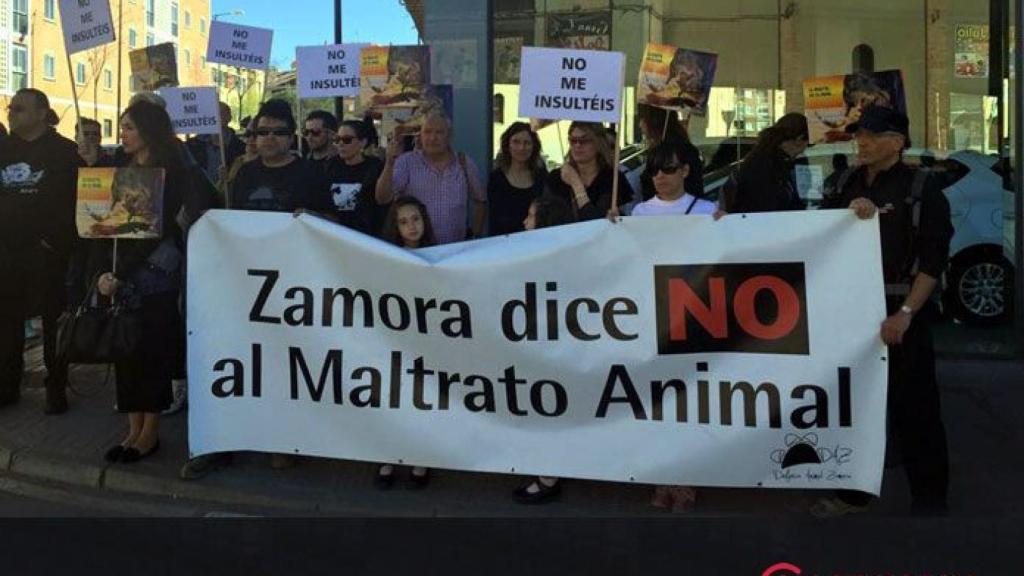 zamora daz plaza toros