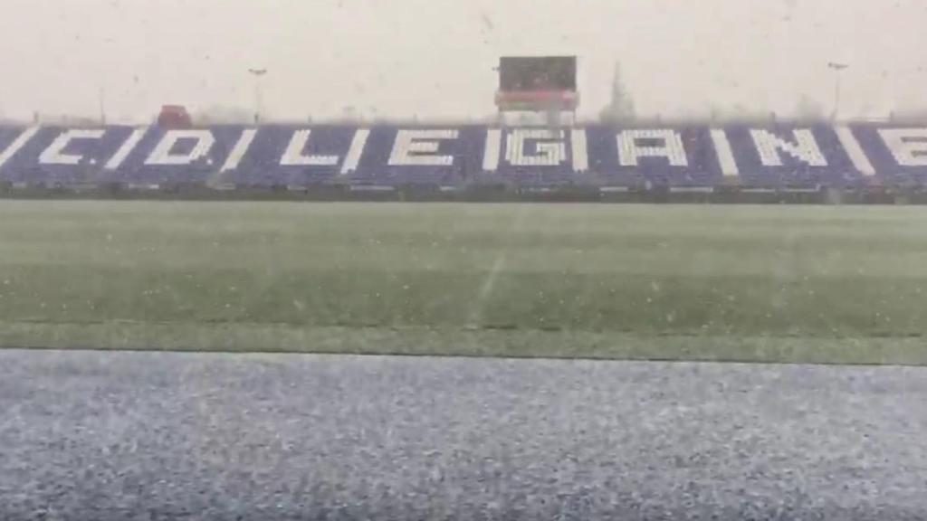 Buterque teñido de blanco