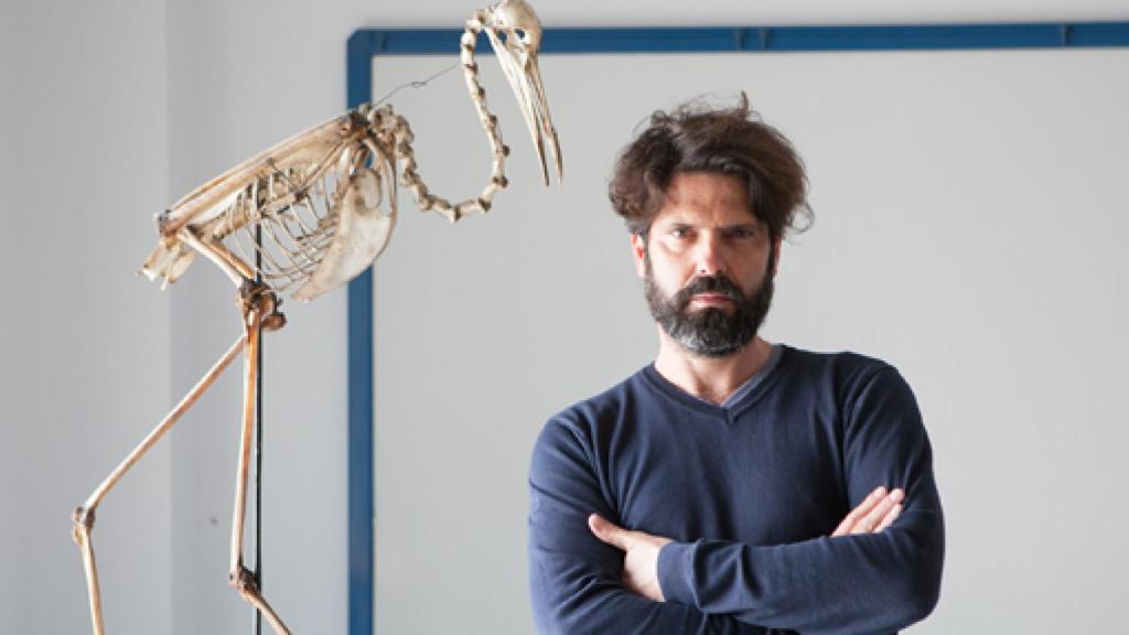 Image: Juan del Junco: Los libros de aves de los 70 y 80 son mis referentes