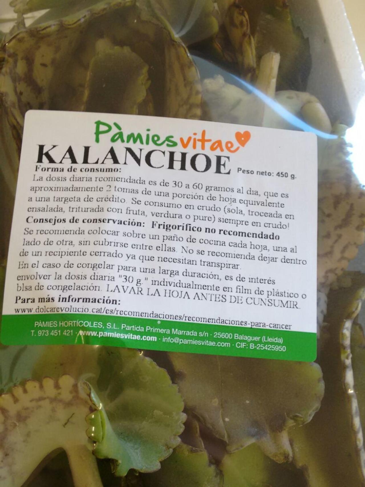 Receta el kalanchoe como remedio para el cáncer.