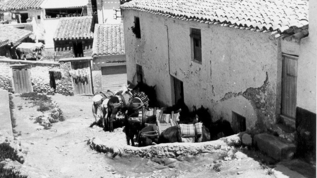 En una de las cuevas de la calle Bodeguicas nació Emilia La Canastera. En la imagen se observa cómo era esta vía en 1975.