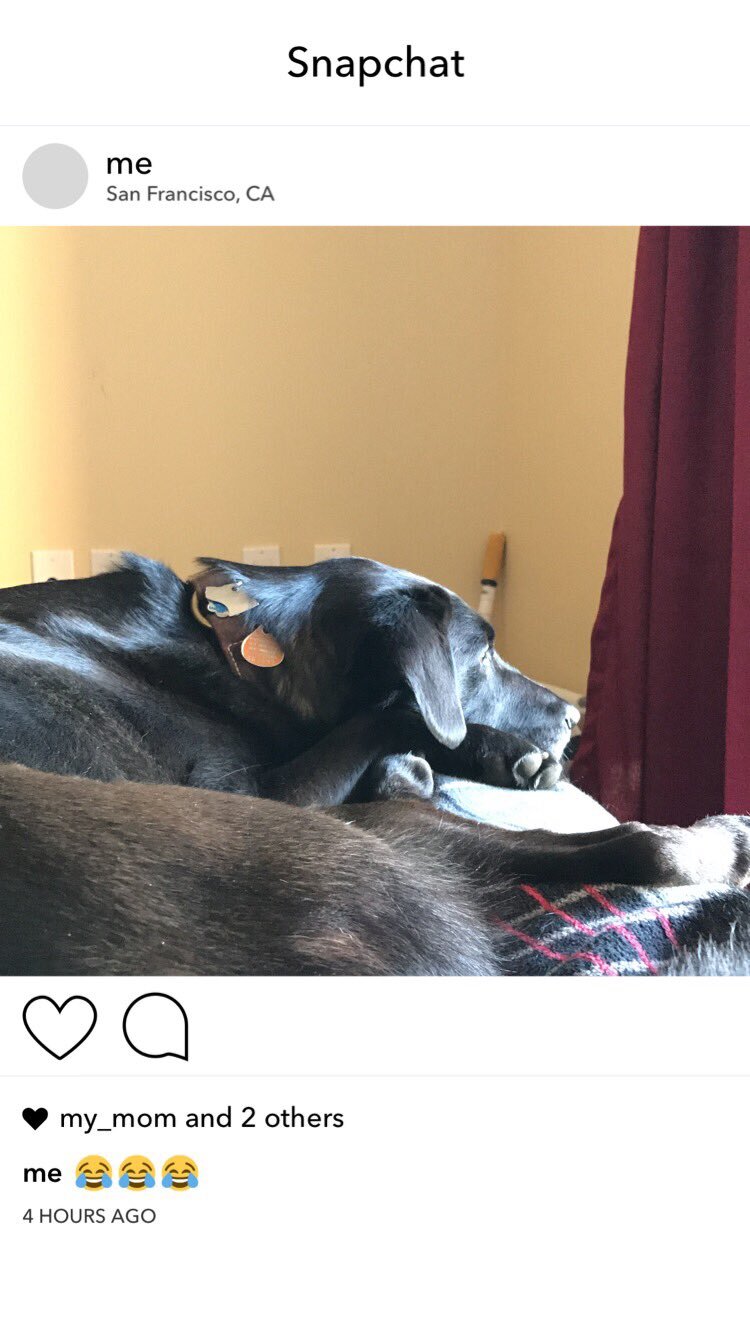 snapchat instagram 3