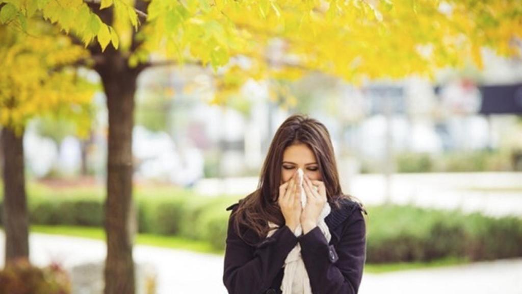 Trending-Topic-alergias-soluciones-polen