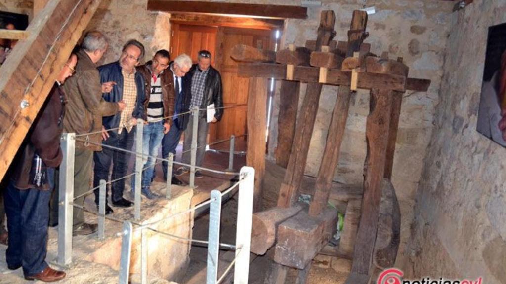 Zamora acenas olivares 1