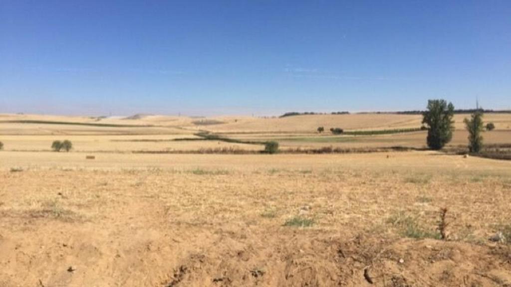 campo recurso agricultura 1