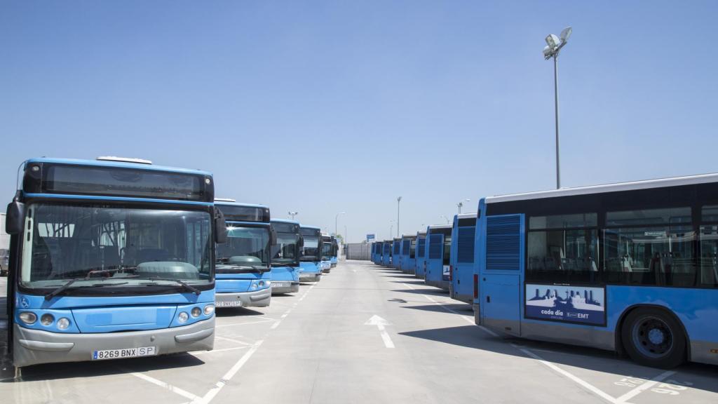 Varios de los ejemplares que saldrán a subasta.