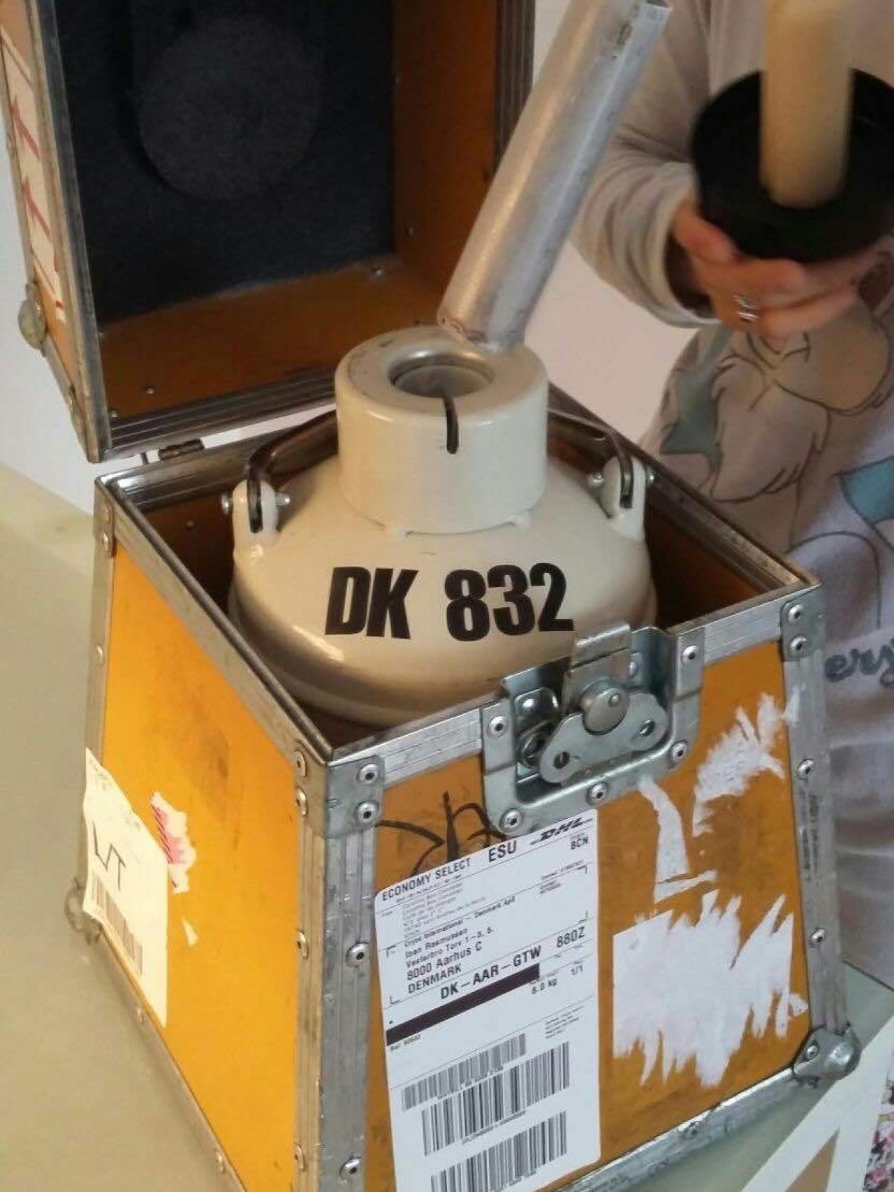 El esperma criogenizado llega desde Dinamarca en unos tanques de nitrogeno, en 24 horas y por DHL