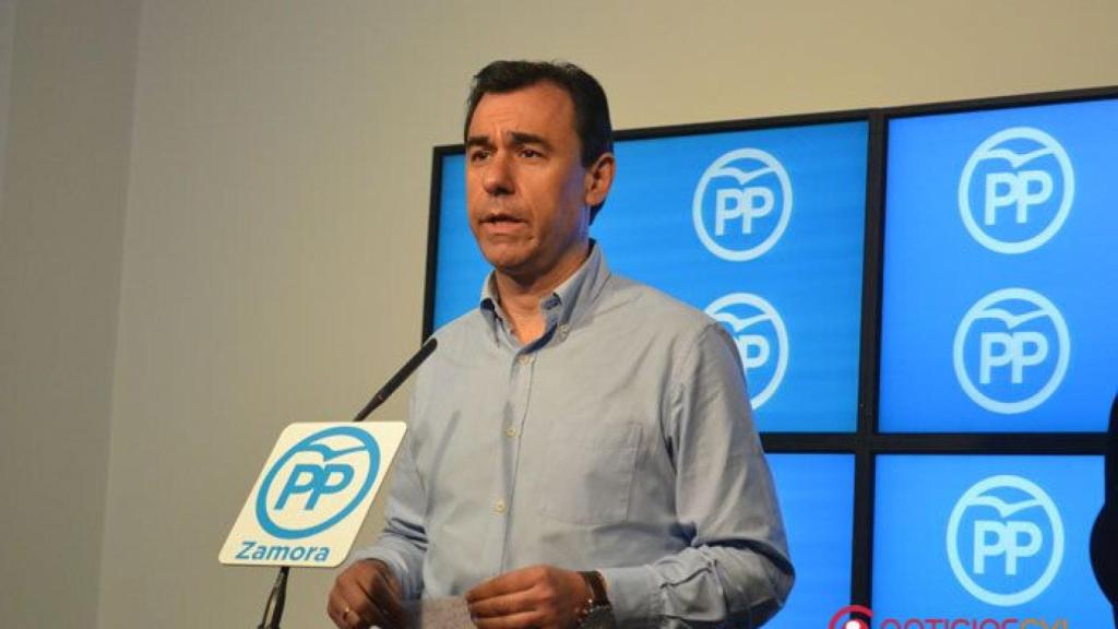 zamora pp maillo