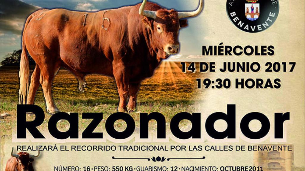 zamora benavente toro enmaromado razonador