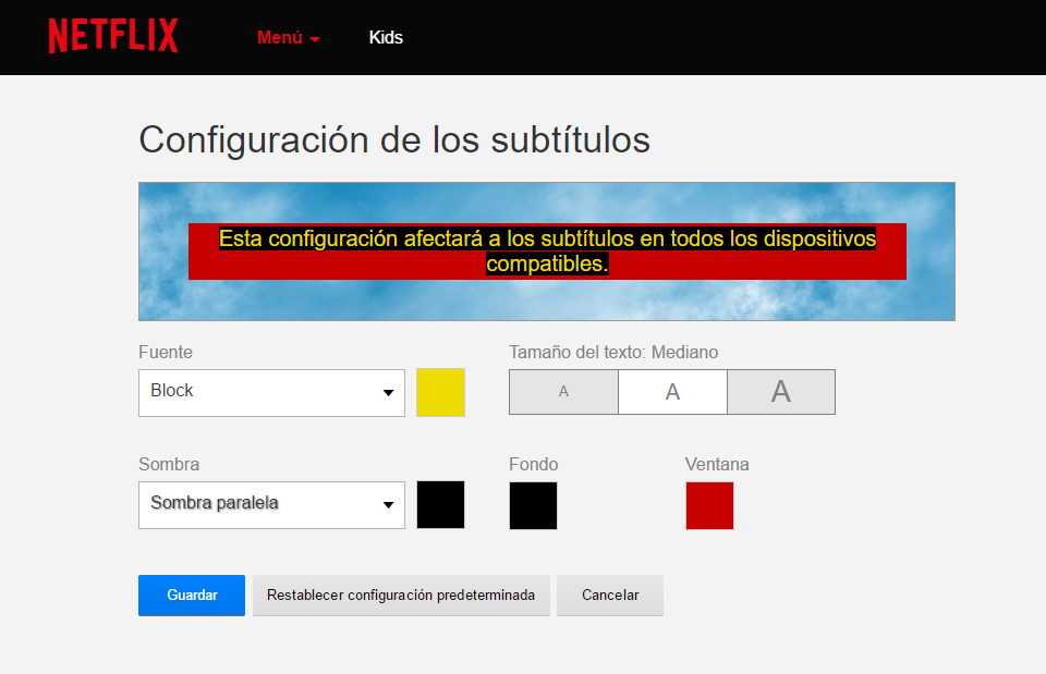 aspecto-subtitulos-netflix-web