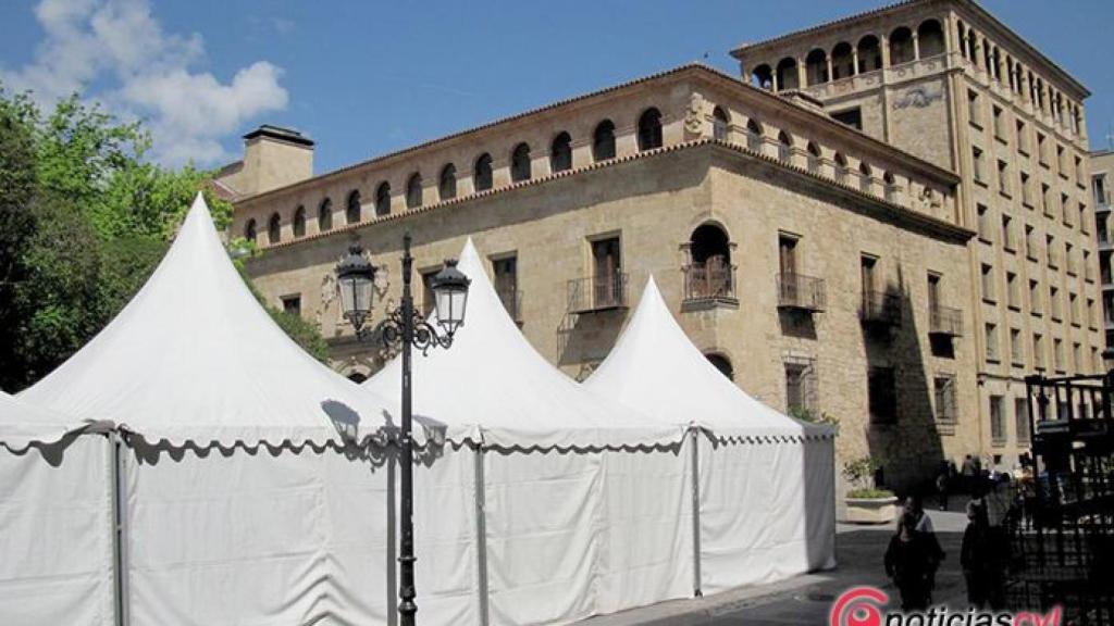 mercadillo plaza de los bandos