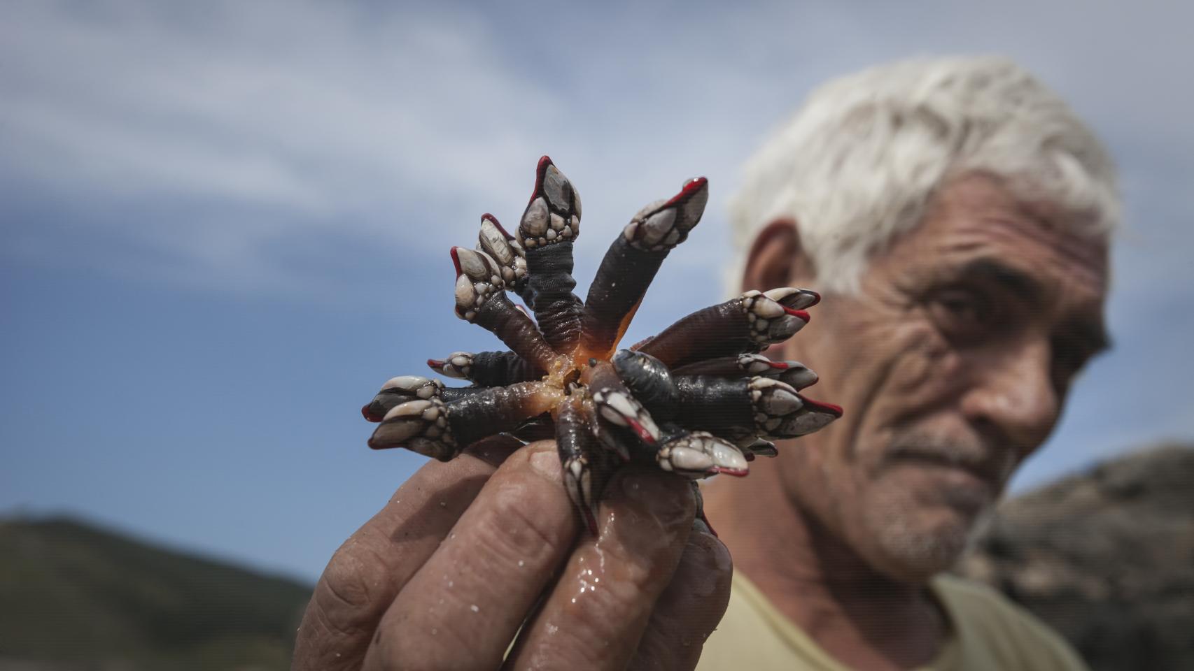 Juan Manuel Santamaría es conocido como El Lagarto. Es percebeiro furtivo.