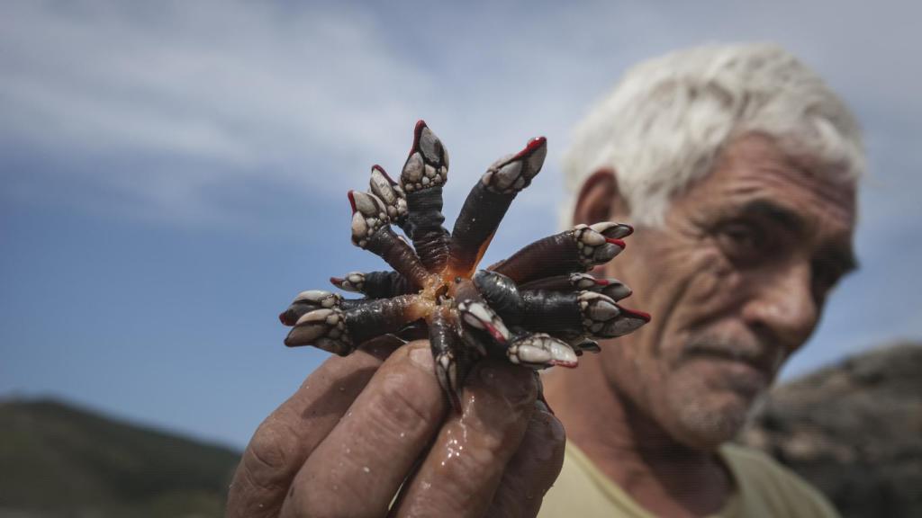 Juan Manuel Santamaría es conocido como El Lagarto. Es percebeiro furtivo.