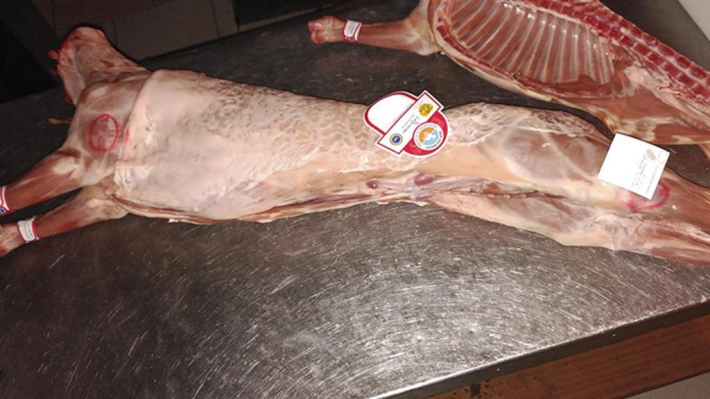 Segovia-corderos-falsificacion-igp