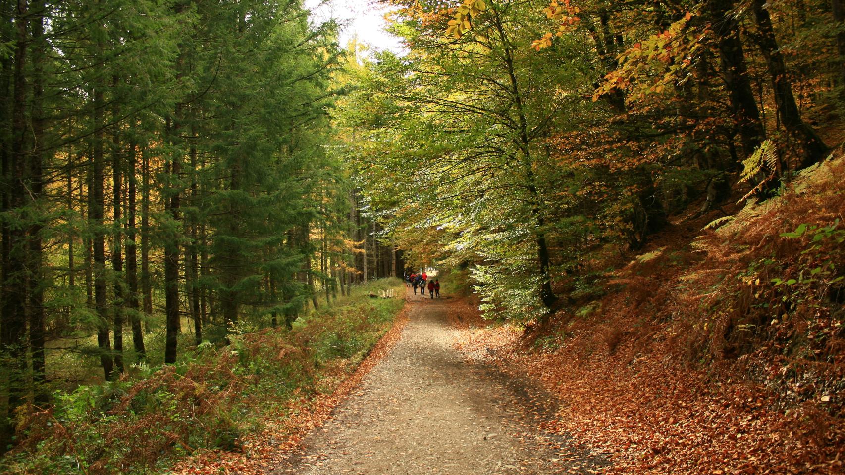 Patrocinado por Land Rover
