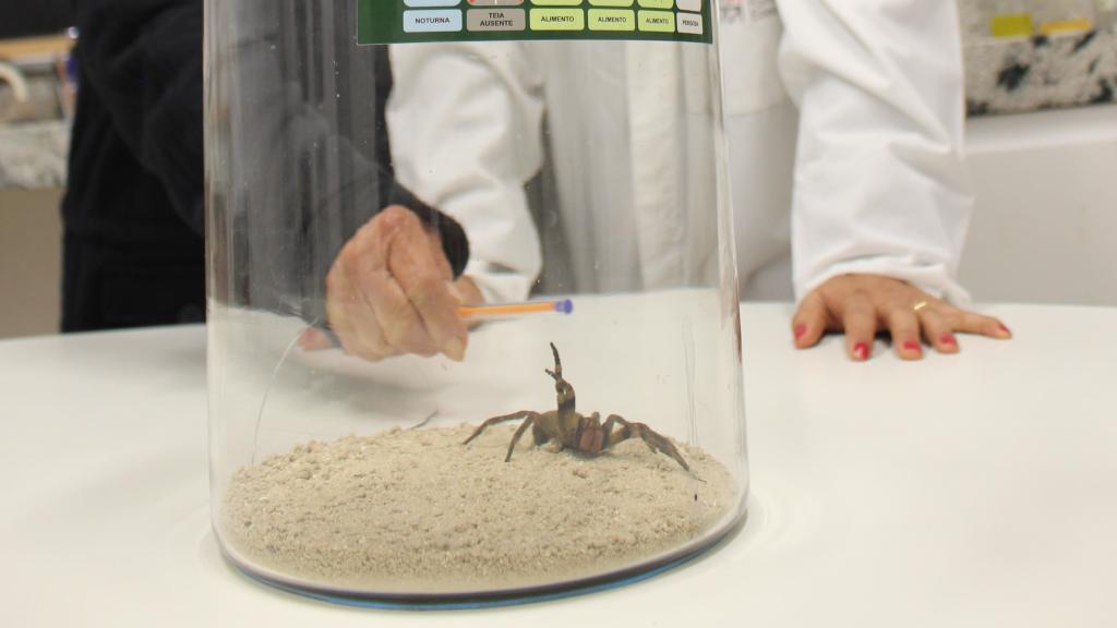 Las investigadoras con la araña.