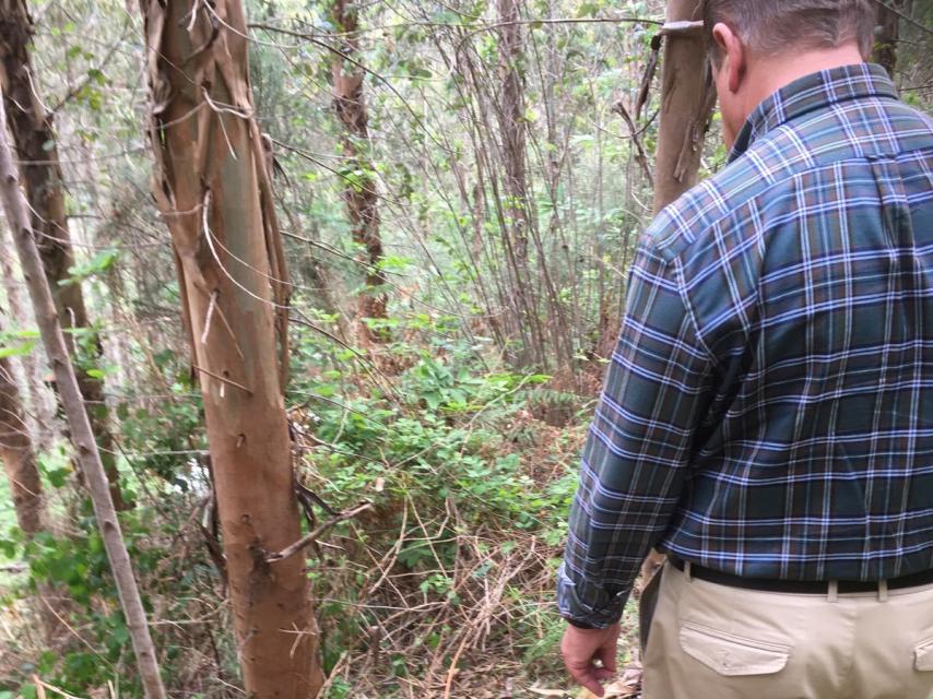 El lugar donde los agentes se encontraron el cuerpo.