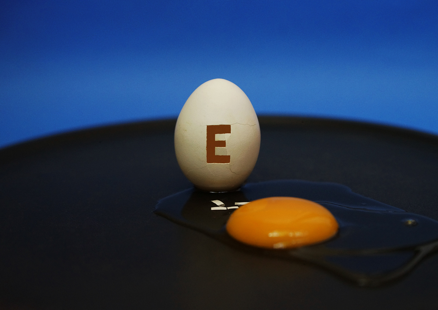 egg