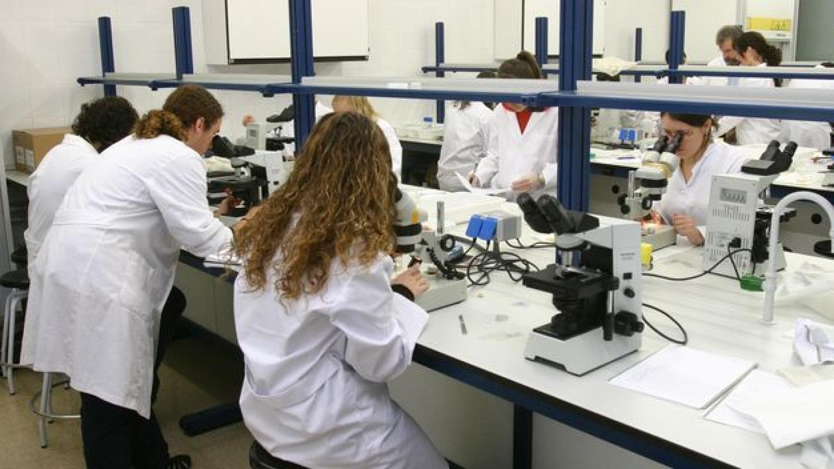 Grado en Ciencias Biomédicas en la Universidad Autónoma de Barcelona