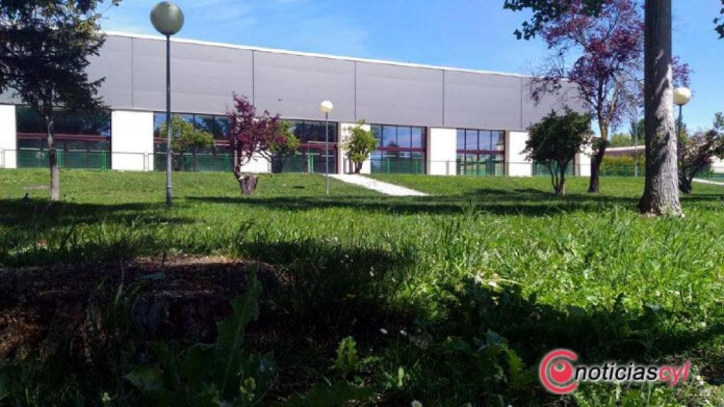 zamora cesped piscina sindical 2