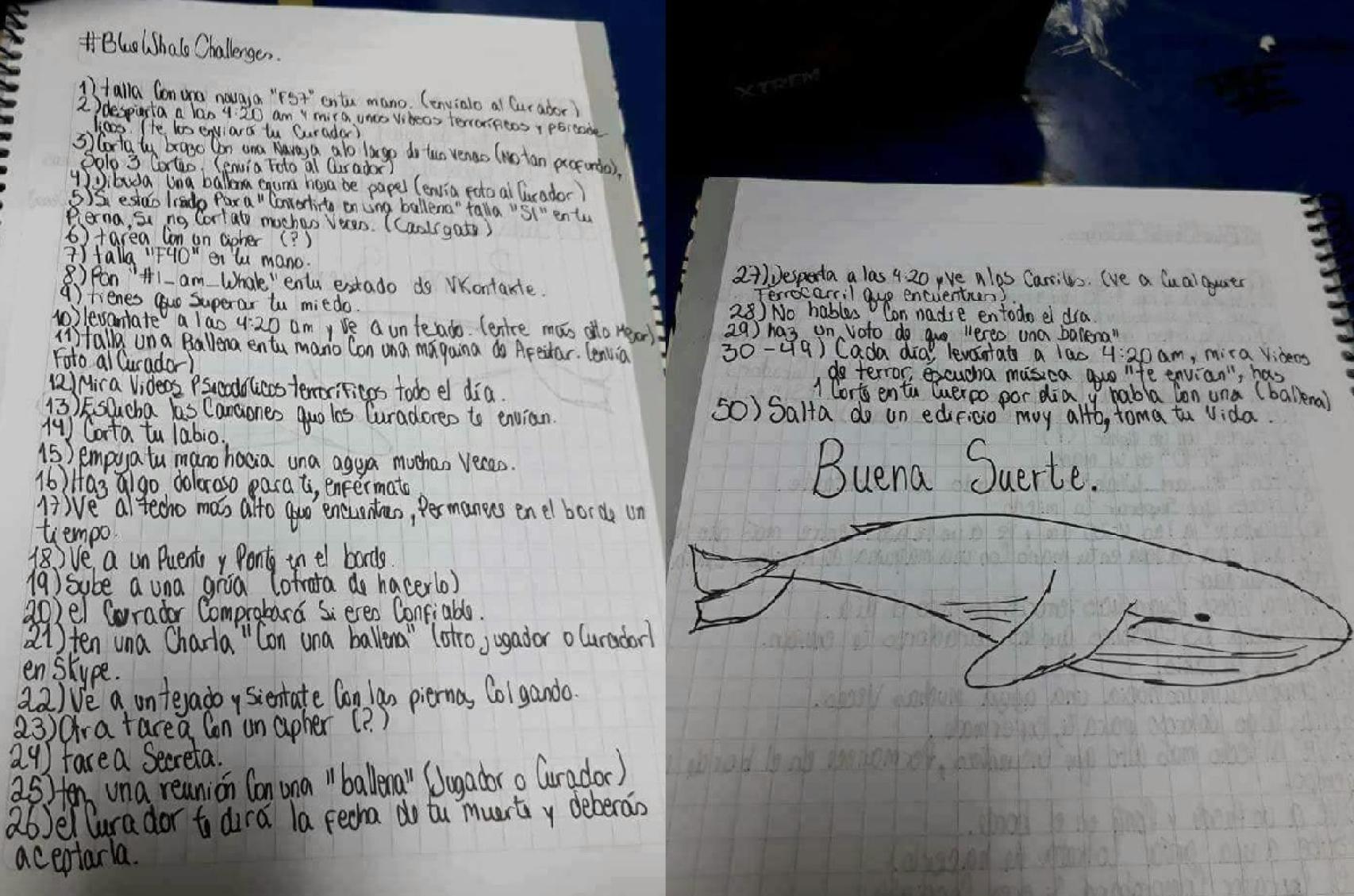 La lista en español con los 50 retos de la Ballena Azul.