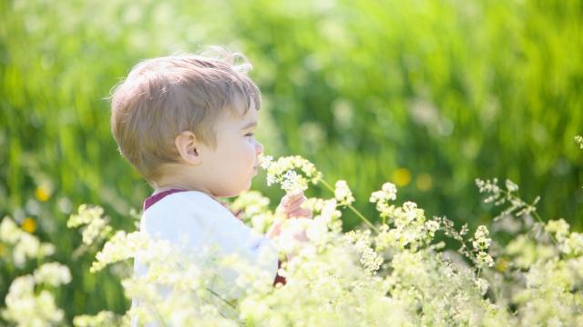 Algunos no tienen miedo a la alergia.