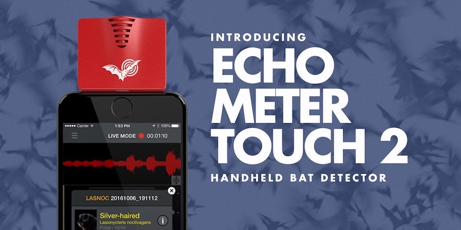 detector de murcielagos