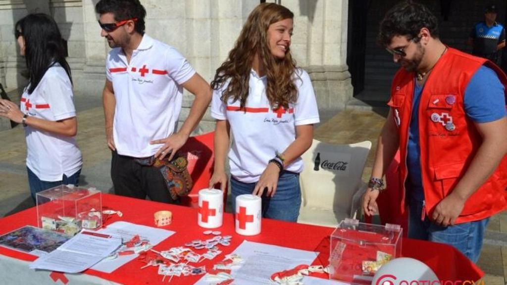 dia-banderita-cruz-roja-valladolid-5