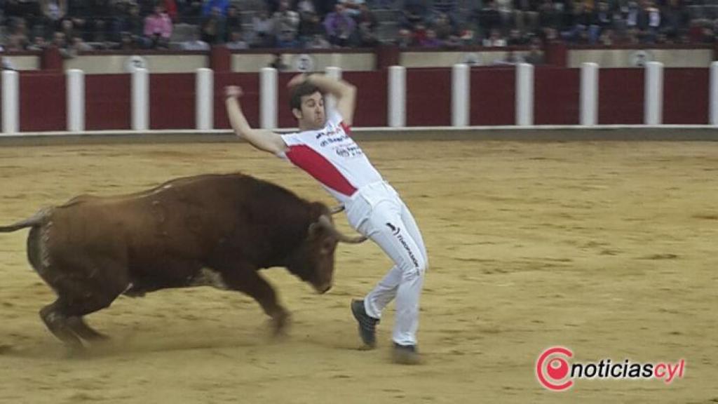 Valladolid-Cortes-Concurso-San-Pedro-Regalado-06