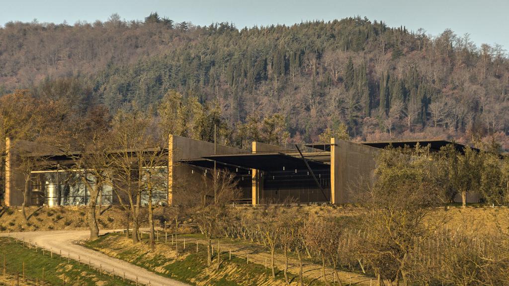 Podernuovo, propiedad de Giovanni Bulgari. | Foto: cortesía de la marca.