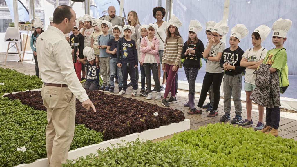 El huerto de Barceló ha recibido la visita de escolares.