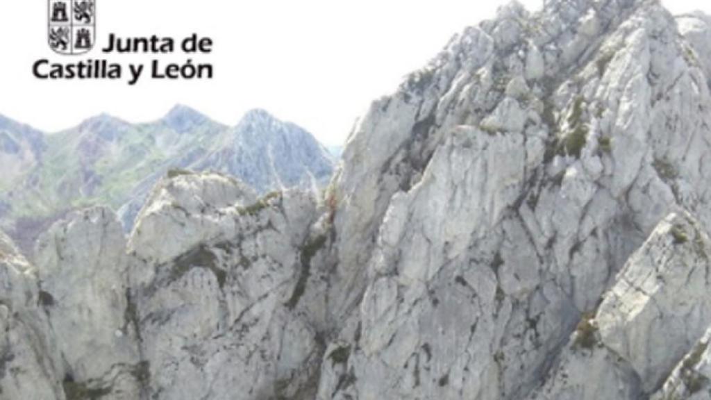 Leon-fallecida-pico-la-collada