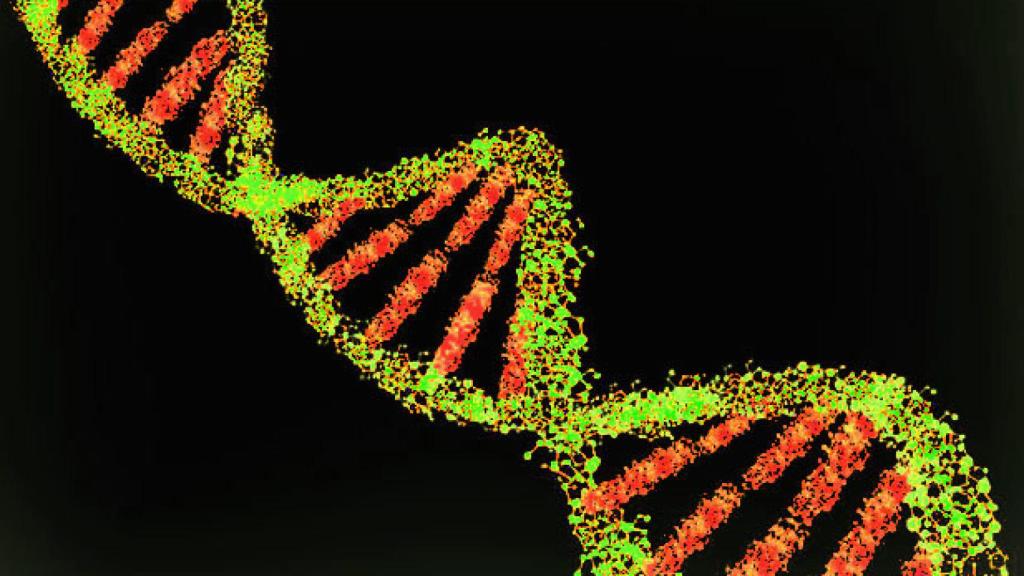 Cadena de ADN a través de un microscopio electrónico.