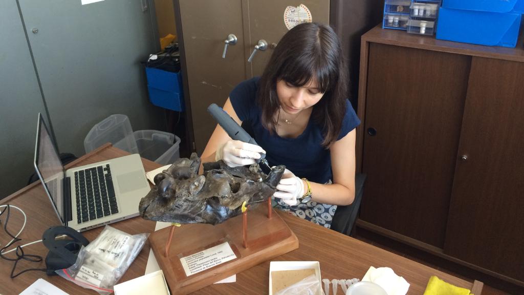 Laura Domingo, en su laboratorio.
