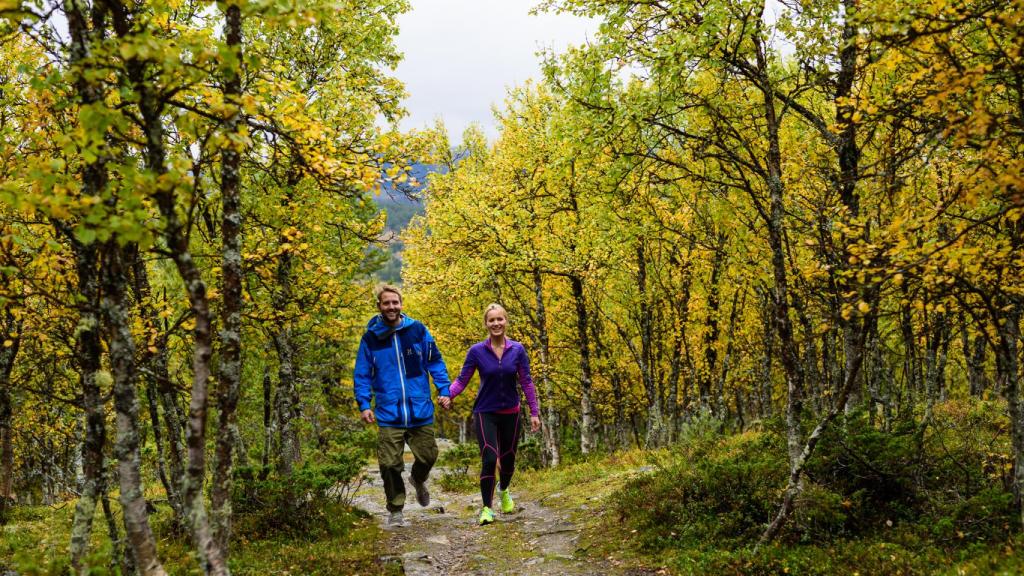 Hacer senderismo por los paisajes de Oslo es una experiencia única.