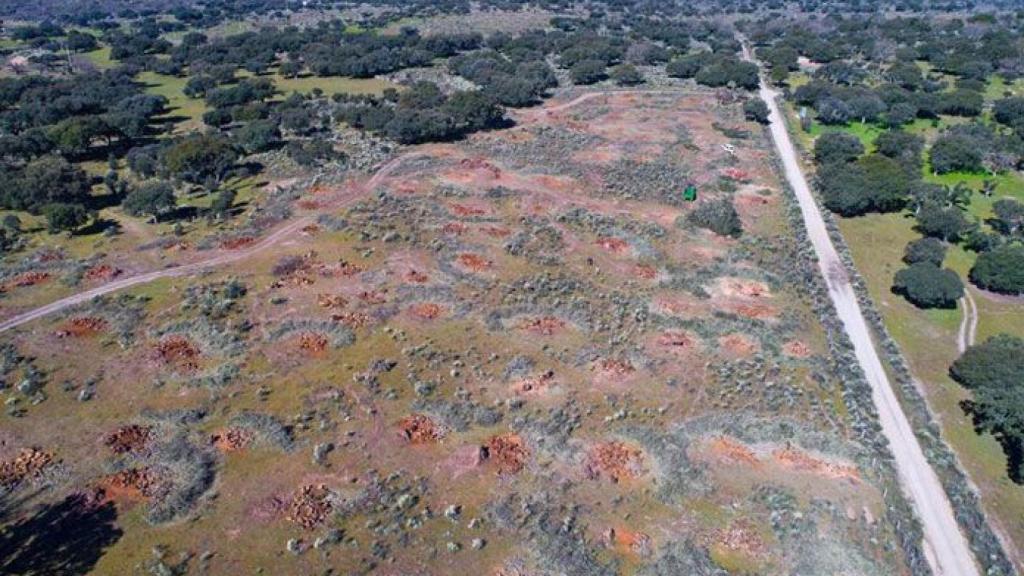 Campo-de-mina-retortillo