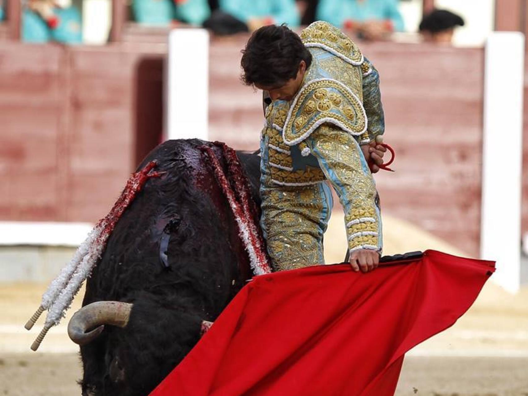 Reunido natural de  Castella a Hebreo, premiado con la vuelta al ruedo en el arrastre