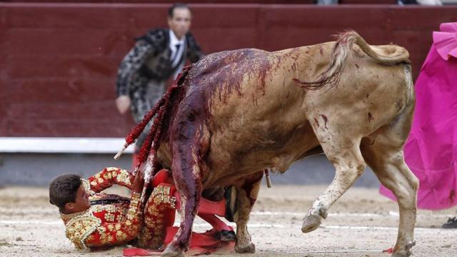 El novillo 'Tremendo' hace presa sobre Carretero, que salió ileso milagrosamente