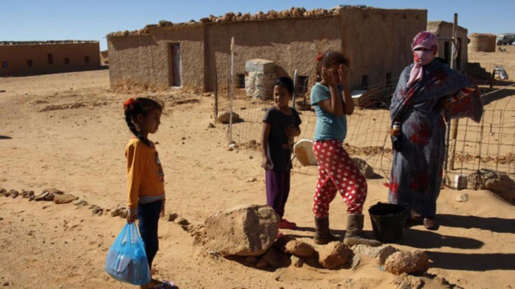 saharaui-acogida-ninos-valladolid