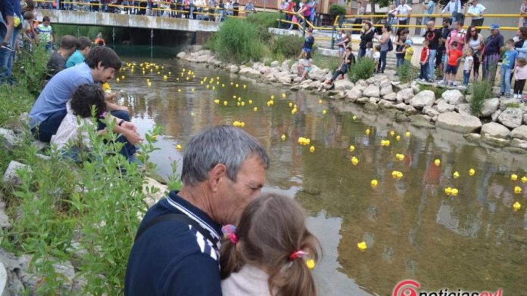 carrera patitos goma esgueva valladolid pajarillos 16