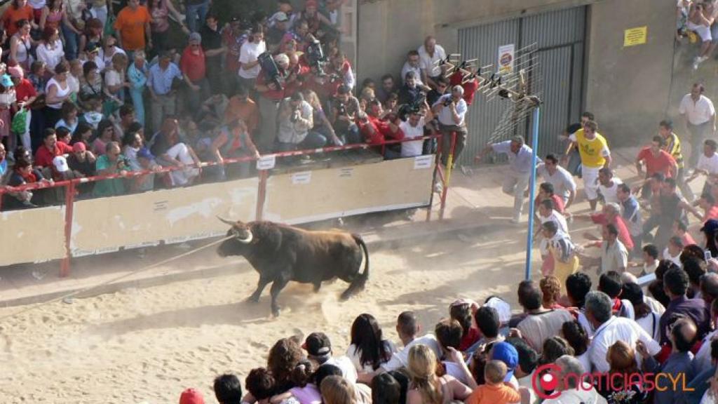 zamora benavente toro enmaromado