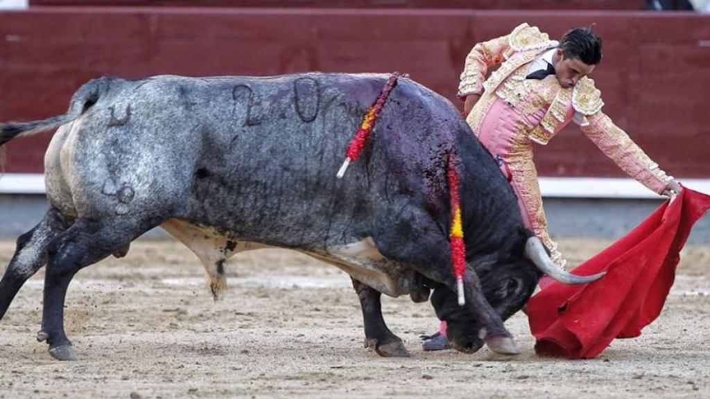 Natural de Alberto Aguilar a 'Liebre'