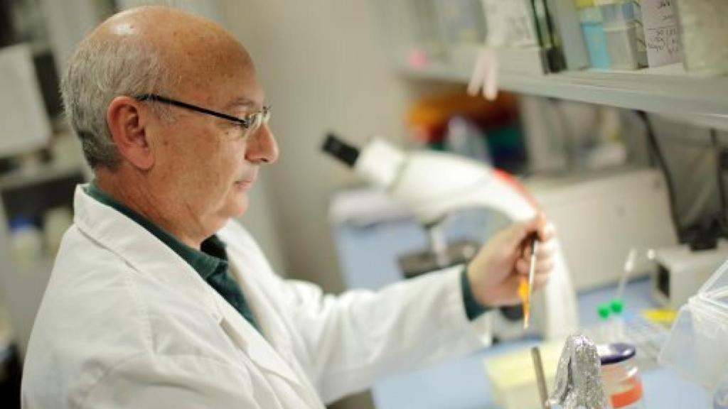 Image: Francisco Mojica: “He tenido la sensación de tocar las claves de la vida”