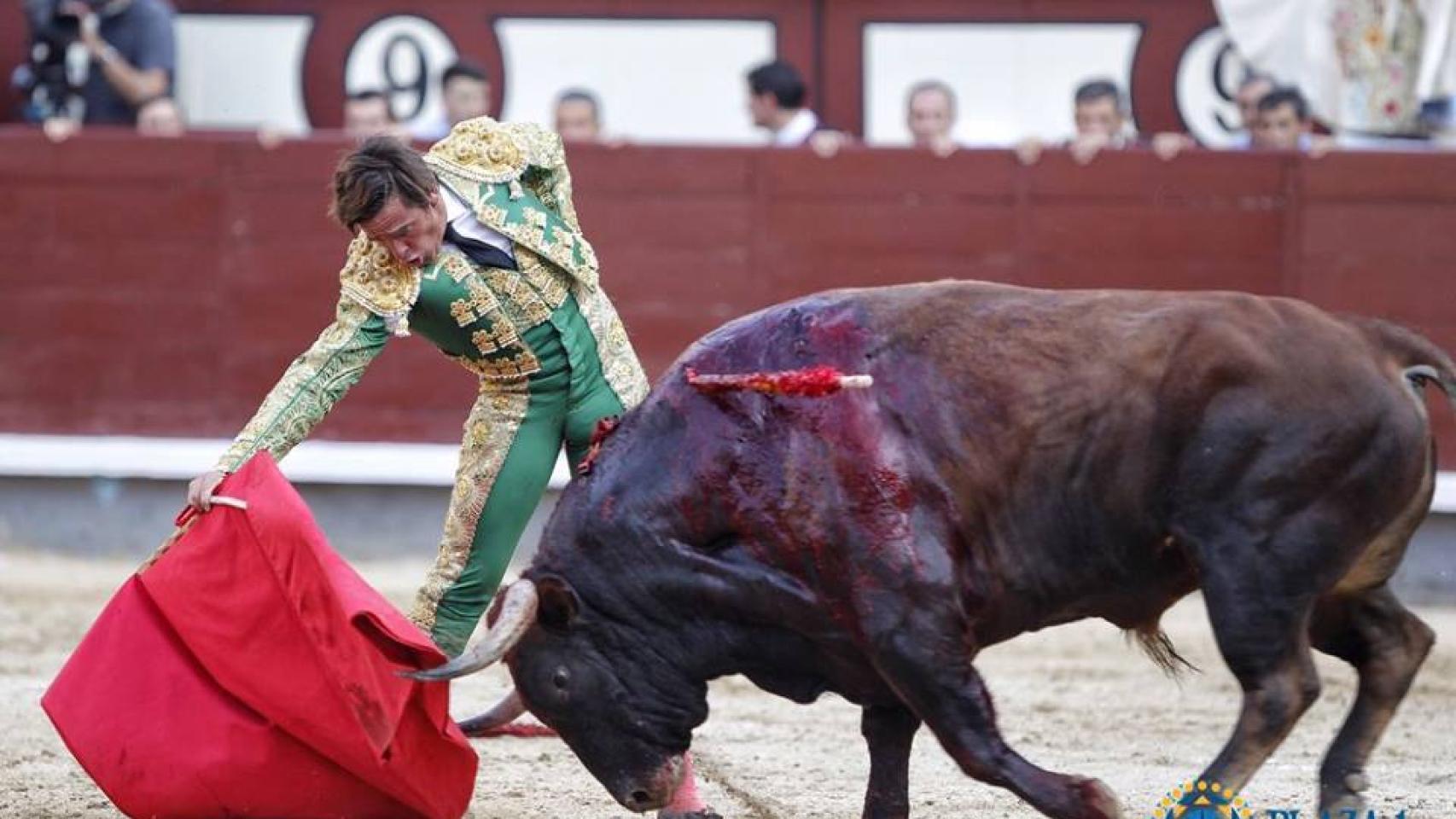 Derechazo de Dávila Miura al buen sobrero de Buenavista